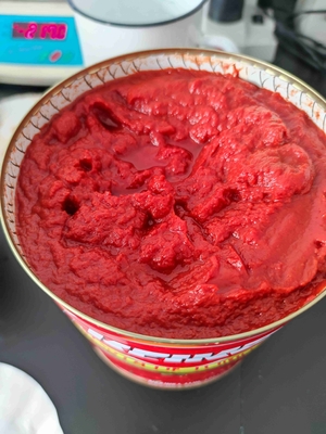 Срок годности 2 года Консервированная помидоровая паста для тушеных блюд Bostwick 5.0--9.0 см/30 сек